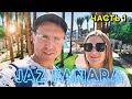 Отель Jaz Fanara Resort 4*. Свежий обзор | Шарм эль Шейх. Крутой риф. Часть 1