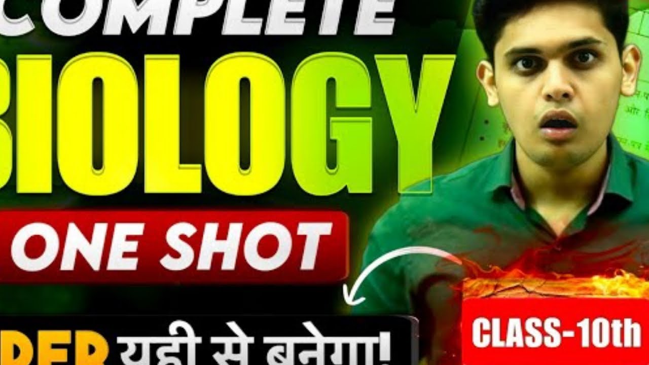 imp question that can come in exam   