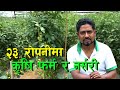         vegetable farming in nepal 