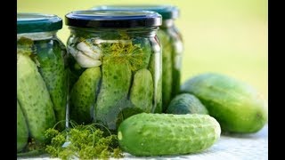 Как мариновать огурцы чтоб хрустели! Хрустящие маринованные огурцы бабушкин рецепт. Как мариновать огурцы чтоб хрустели! Хрустящие маринованные огурцы бабушкин рецепт.