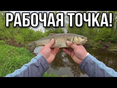НАШЁЛ РАБОЧУЮ ТОЧКУ!!! КАК ИСКАТЬ ГОЛАЛЯ ВЕСНОЙ??? Спиннинг Arion ASRE832LS 3-15гр.