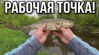 НАШЁЛ РАБОЧУЮ ТОЧКУ!!! КАК ИСКАТЬ ГОЛАЛЯ ВЕСНОЙ??? Спиннинг Arion ASRE832LS 3-15гр.