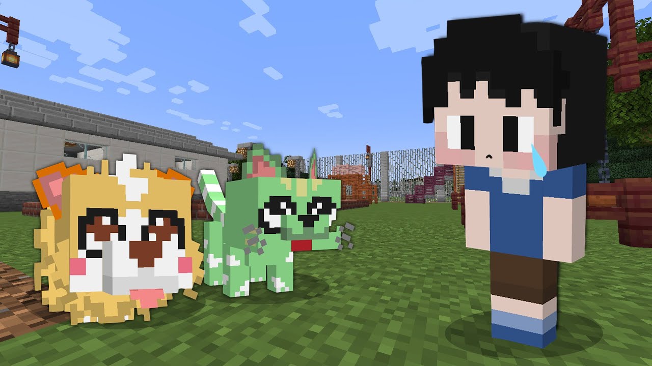 【マイクラ】犬と猫になって迷子の子供を家まで送り届けろ!!【AMPTAKxCOLORS】【アンプタック】