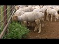 This farmers shocking modern technique is worth seeing  incredible ingenious inventions
