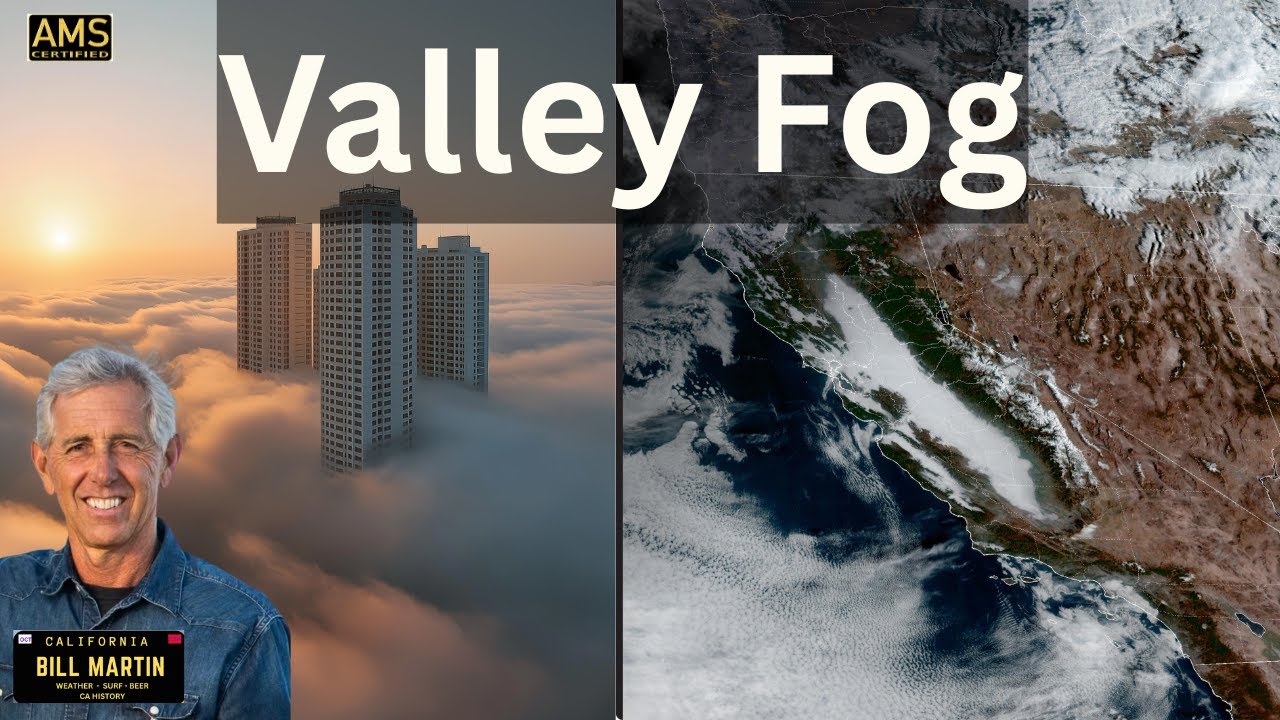 Самый сильный туман за последние годы: Центральная долина и Калифорния раскрывают научные факты