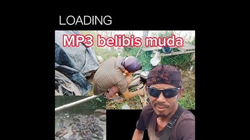 suara pikat belibis anakan jernih pangilan nya