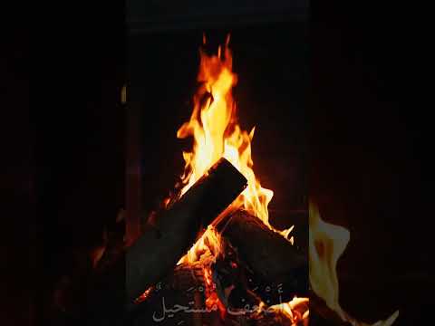 الشاعر كريم العراقي أنا مهرتي جرحي