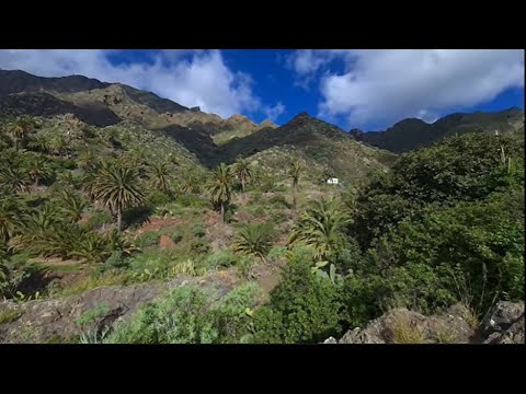 Beautiful Nature Background!!
