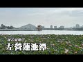 左營蓮池潭, 蓮花盛開！五里亭360度環繞視野 (Lianchitan ~ Lotus Lake)