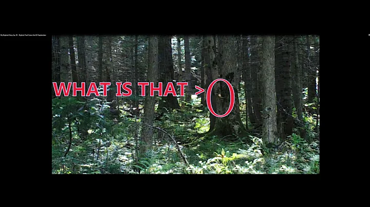 My Bigfoot Story Ep. 95 - Bigfoot Trail Cams End O...