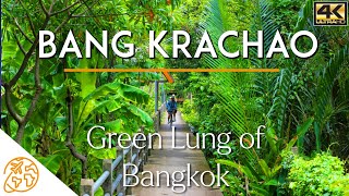 Bang Krachao the Green Lung of Bangkok Riding Bicycle 4k Tour