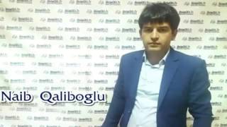 Naib Qaliboglu Mavi Gozler Toy Mahnisi 2017 Resimi