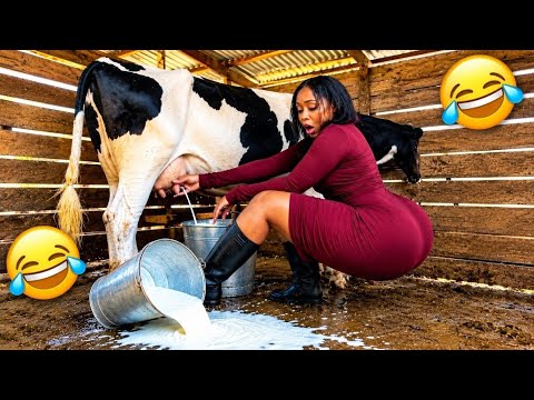 Try Not to Laugh Challenge 😂🤣 | Funniest & Most Hilarious Videos Compilation 2026 🔥