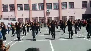 19 Mayis 7. Sınıflar Erik Dali Gevrekti̇r