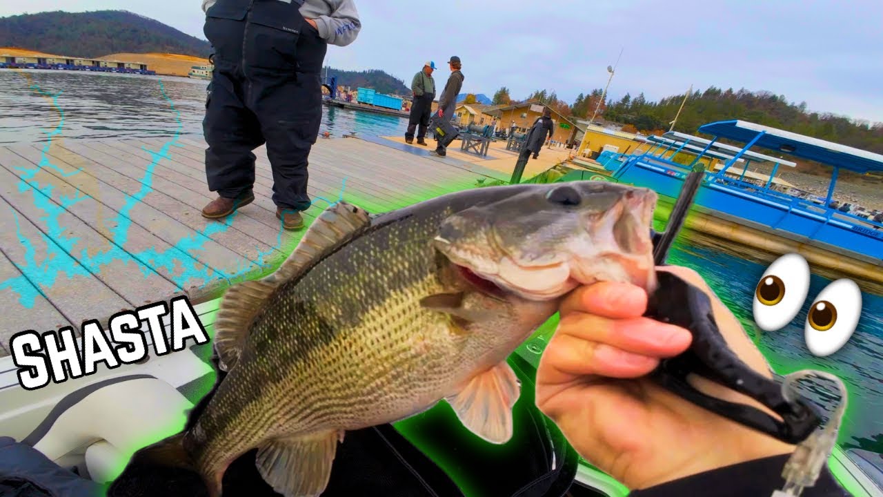 Figuring It Out Solo! | Fishing Tournament at Lake Shasta (Top 10 Finish!)
