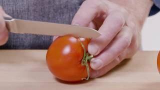 Henckels Modernist 5-Inch Serrated Utility Knife