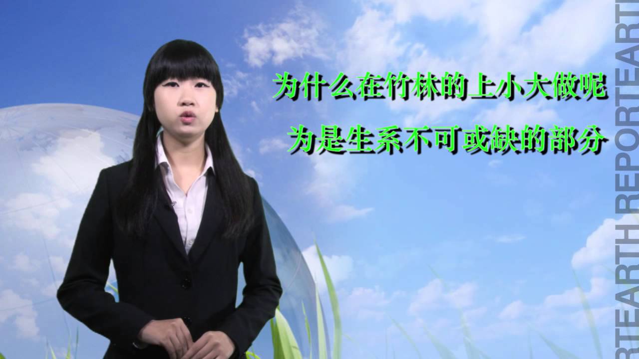 Earth Report: Plight of the Giant Panda