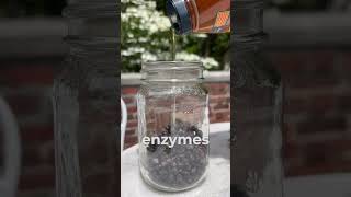 Diy Juniper Infused Honey Yum