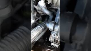 VW new beetle coolant temp sensor #coolfacts #sciencefacts #vwscene #anyonecando