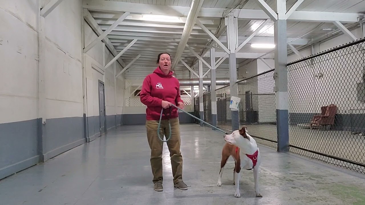 A balanced walk is a good walk