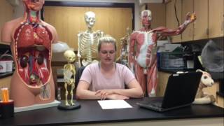 Urinalysis Anatomy Video