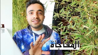 فلوق السفرة السرية || Secret Surprise