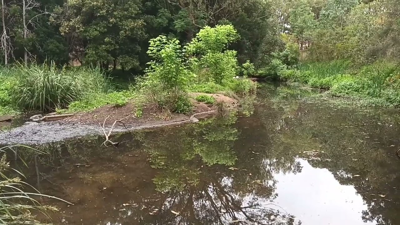 Bardwell Valley Parklands