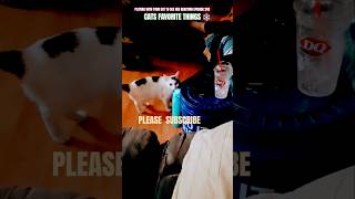 Playing With Your Cat To See Her Reaction Episode 243 #youtubeseries #1trend #viral #comedy #funny