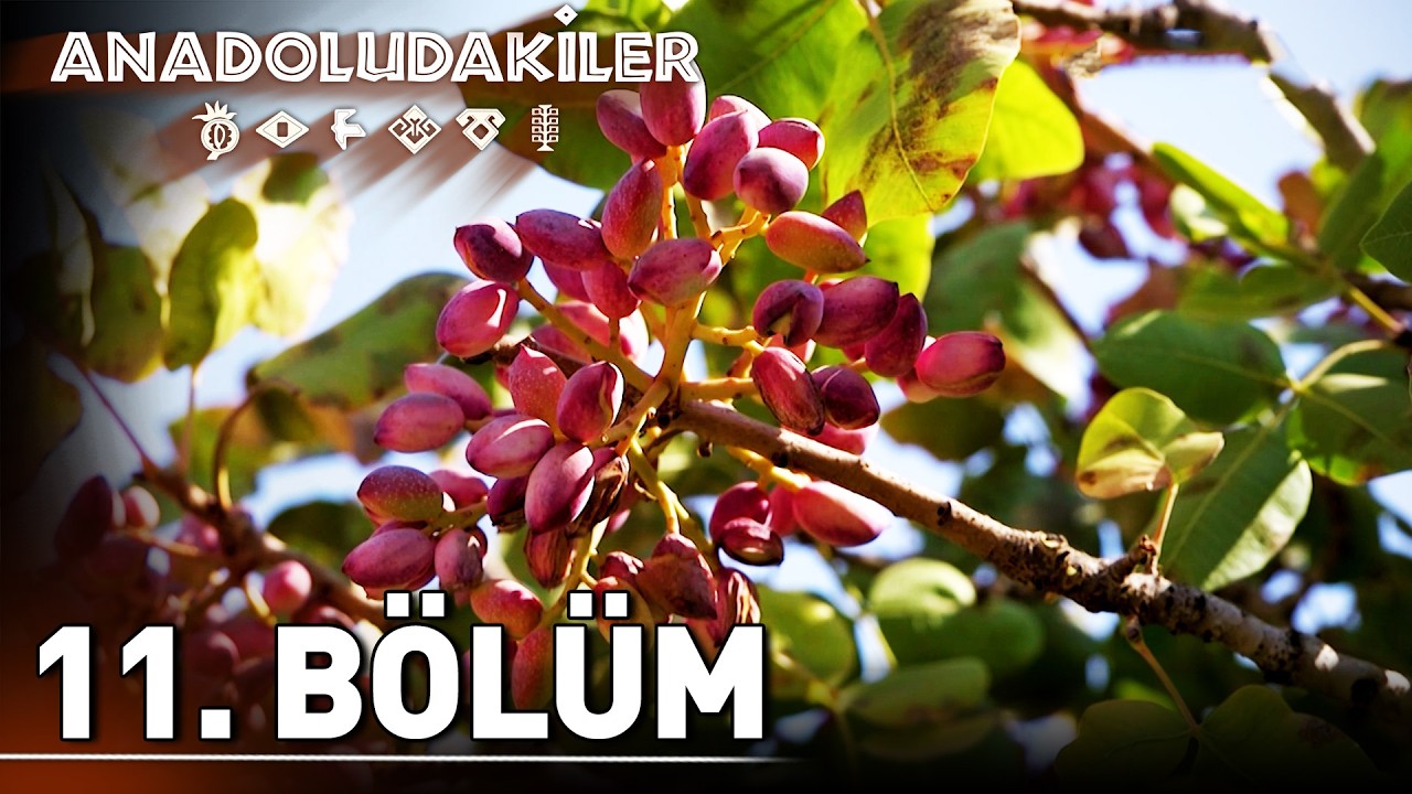 Anadoludakiler 11. Bölüm | Güneydoğu Anadolu