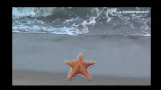 Texturas Lisa,Suave, Áspera Y Rugosa