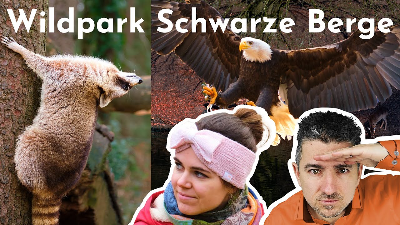 Wildpark Schwarze Berge - Lohnt es sich?