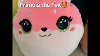 All my squishmallows names
