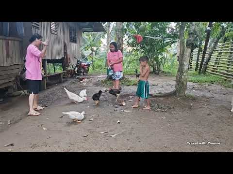First time makahuli ng man0k para ulamin 😂 / Province life with Yvonne Bautista