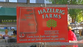 Apple Festival kicks off the season at the Chattanooga Market