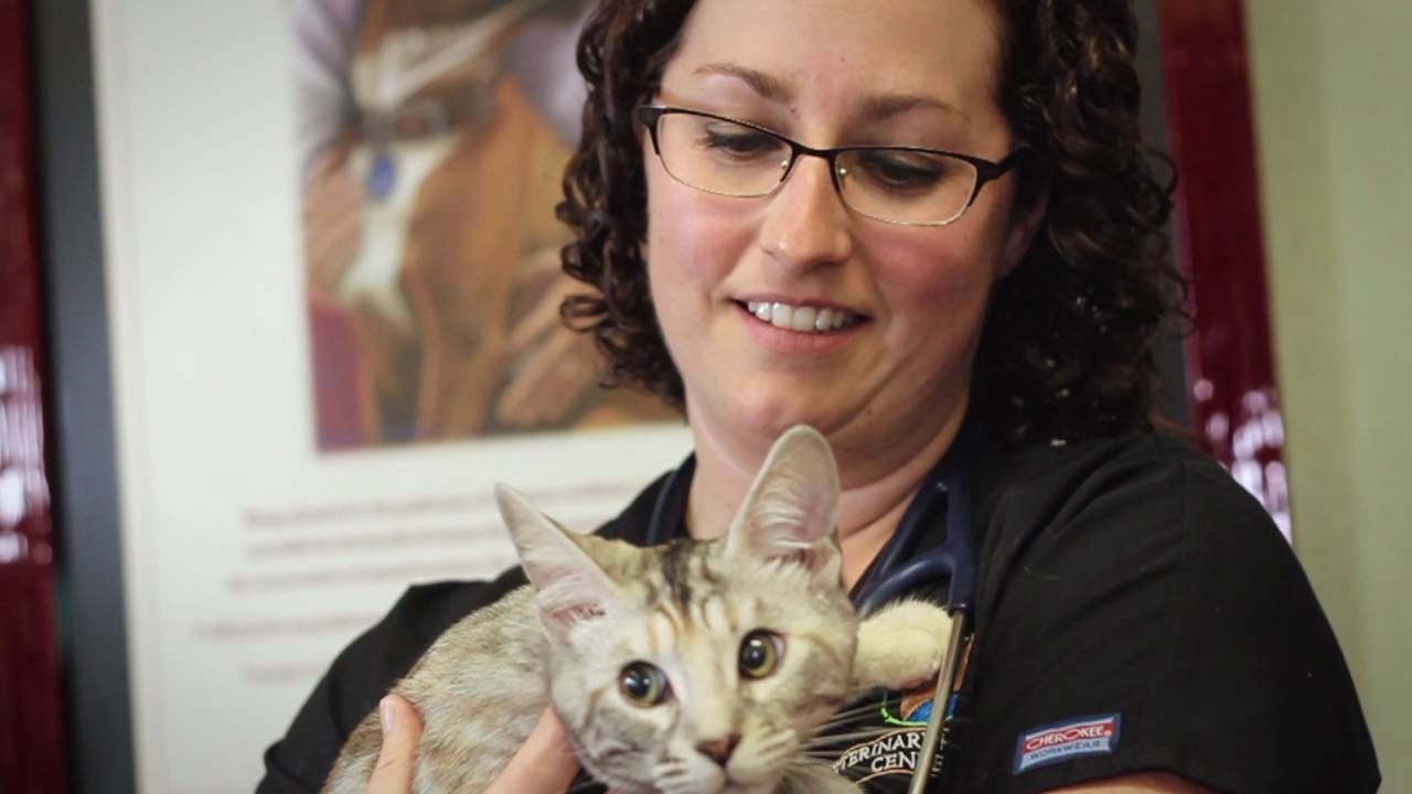 Folsom Veterinarian - Veterinary Healing Center of Folsom