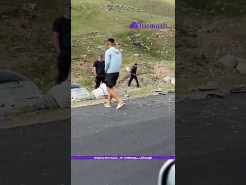 На дороге Бишкек-Ош произошла авария