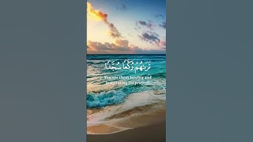 محمد رسول الله 🥹💛 صلى الله عليه وسلم #سورة الفتح #قرآن #قران_كريم #محمد_رسول_الله_ﷺ #تلاوة_خاشعة