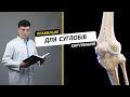 Правильне харчування для здорових суглобів що їсти а від чого відмовитися на думку лікарів