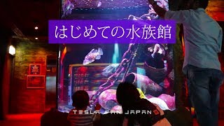 【子育て記録】はじめての水族館