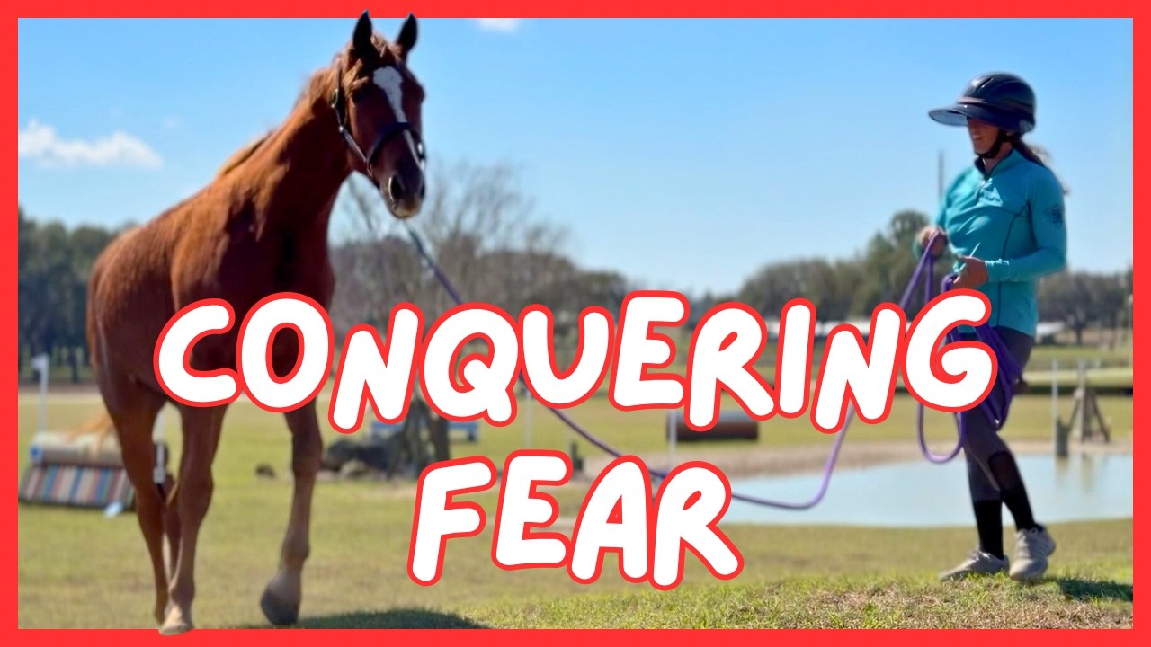 Toddy’s First Big Adventure! Taking My 3-Year-Old Off Property 🐴✨