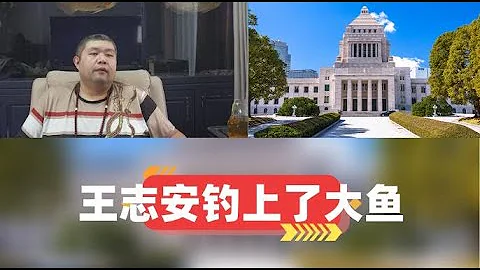 [硬人硬事001期]——日本政客遞交質疑王志安身份的文件給政府，其中稱台灣與日本屬於兩國關係，若日本政府回復仍強調兩國關係，那就是公然違反中日四個文件，王志安這次釣上了大魚 - 天天要聞