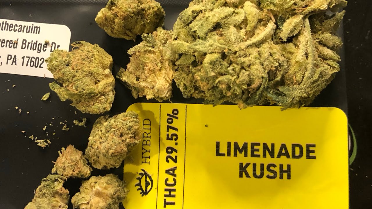 Limenade Kush & FaceOff I95 Stardawg Strain Review~PA Medical