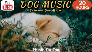 20 HOURS of Dog Calming Music🦮💖Dog TV music🐶🎵Anti Separation Anxiety Relief Music⭐Healingmate by HealingMate - Dog Music 23,946 views 2 weeks ago 20 hours
