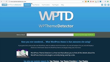 How to Spy on Your Competitors WordPress Website Theme and Plugins