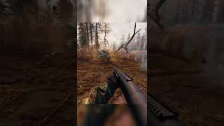 These bloodsuckers wanted to kill me… but the Zone had other plans 😈  #stalkeranomaly #stalker2