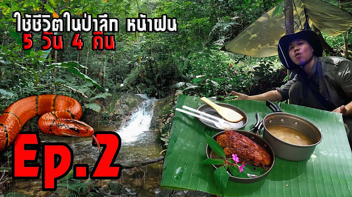 ใช้ชีวิตคนเดียวในป่าลึกหน้าฝน 5วัน4คืน ep2 ทำอาหาร ย้ายแคมป์ เจองูอีกแล้ว!!!(solo survive)