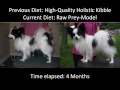 Raw Fed Dogs Raw Fed Dogs