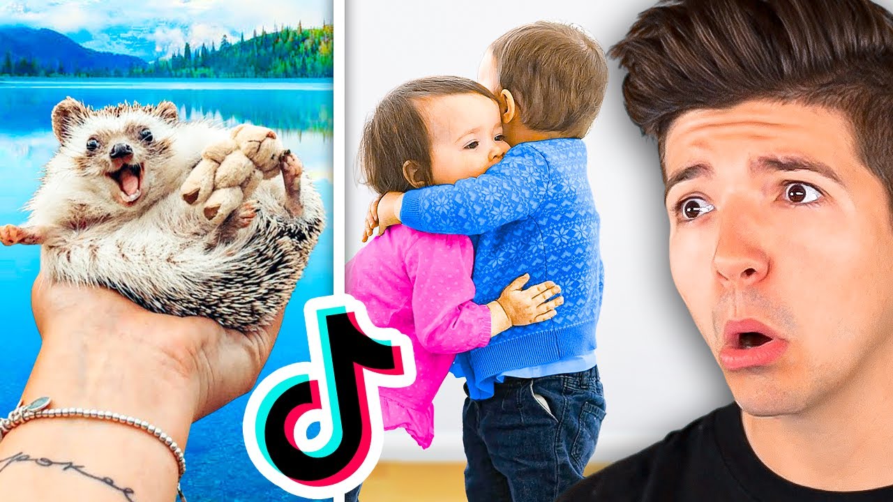 CUTEST Videos On TIKTOK *Try Not To Say AWW!*