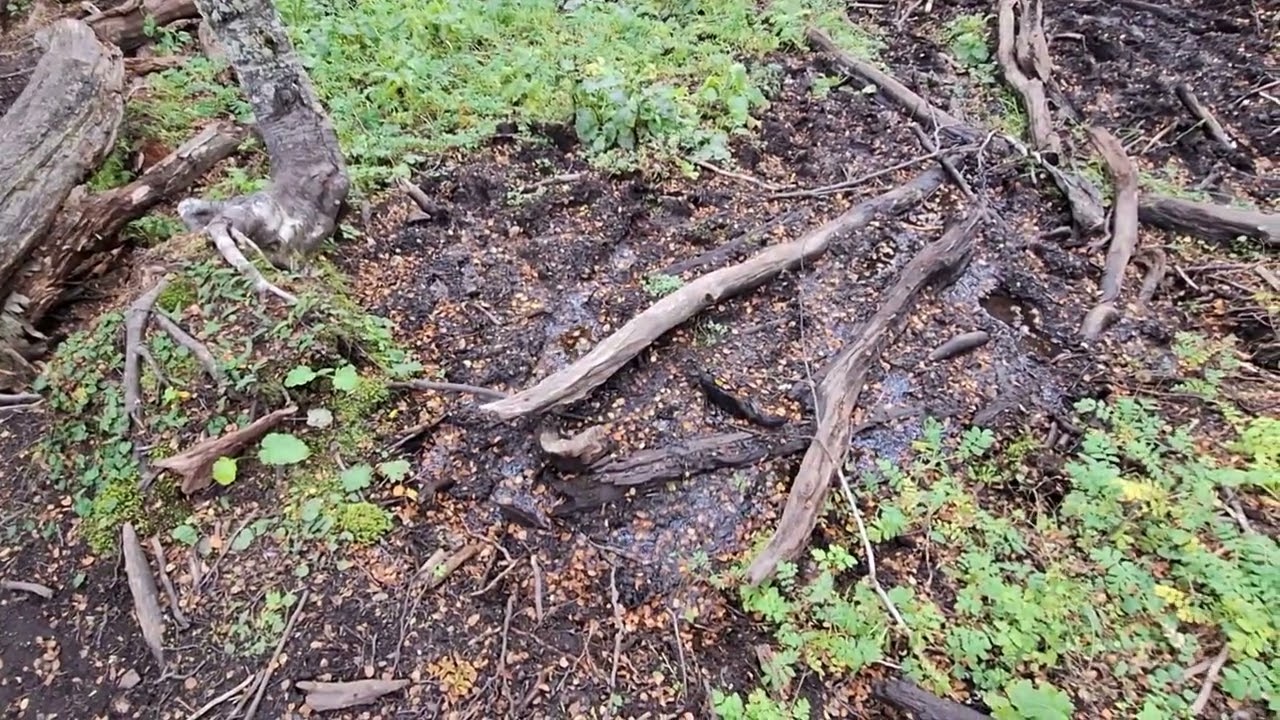 ПРОГУЛКА В ГОРЫ. УШУАЯ ПЕРЕОДЕВАЕТСЯ В ОСЕНЬ🇦🇷🐧❄️LAGUNA TURQUESA, CUMBRE CARABAJAL, TIERRA MAYOR.