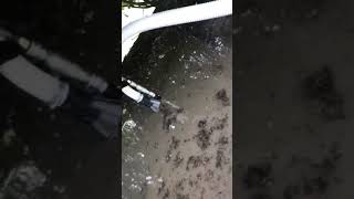 Suttner Sludge pump in action from Pressure City